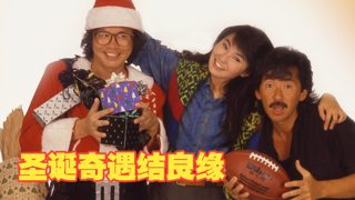 圣诞奇遇结良缘国语（林子祥/张曼玉/岑建勋/秦沛/午马）