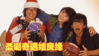 圣诞奇遇结良缘国语(林子祥/张曼玉/岑建勋/秦沛/午马)